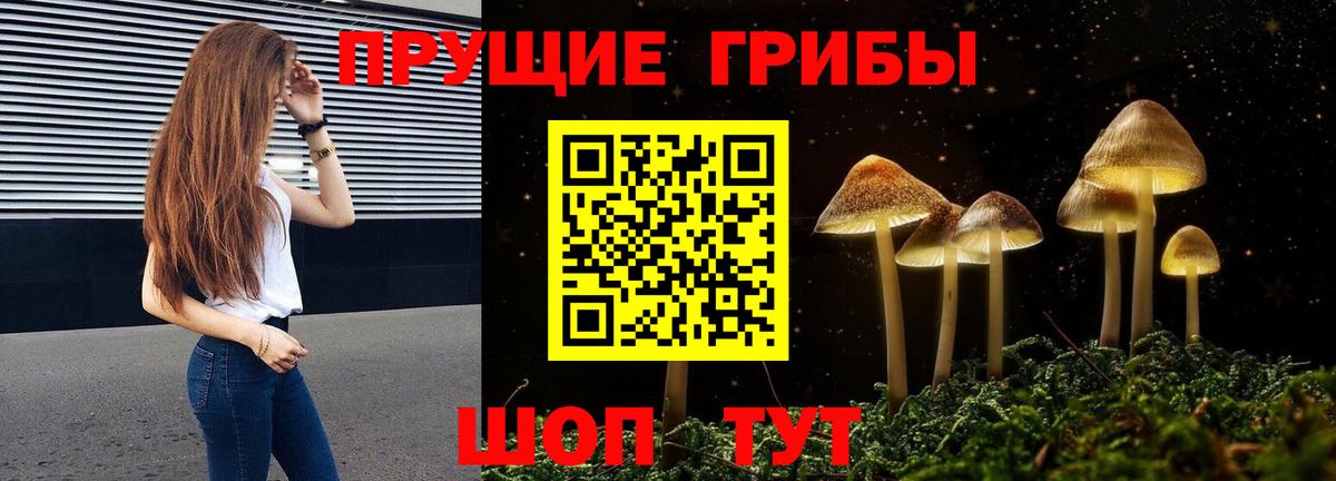 Железногорск  где можно купить   Вход с VPN  Псилоцибиновые грибы MAGIC MUSHROOMS 